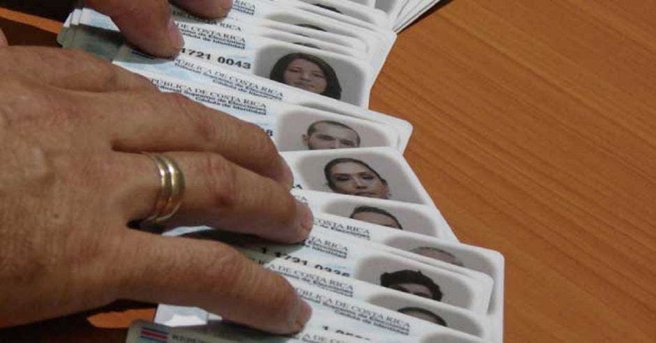 Varias células de identidad