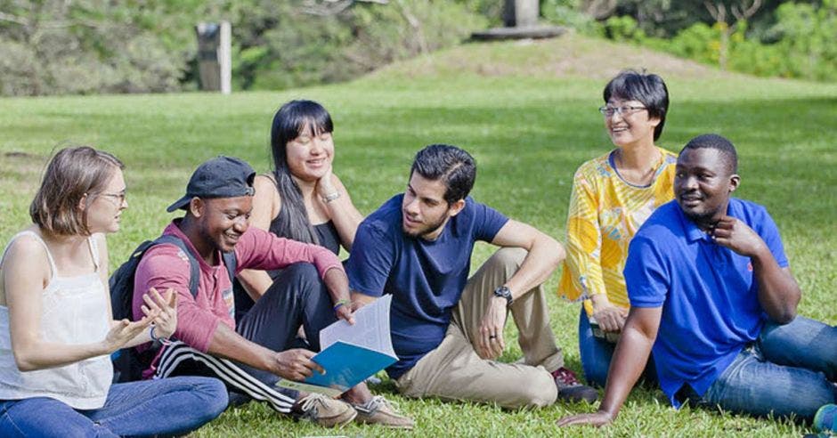 jóvenes estudiantes sentados en el pasto