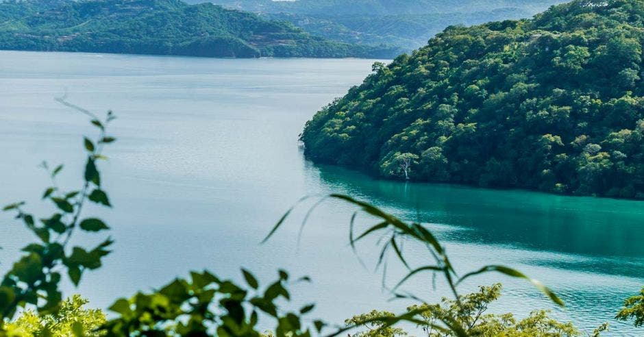 un islote resalta sobre una gran masa de agua verduzca