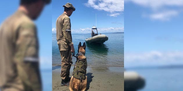 un hombre con un perro pastor alemán parado en la costa