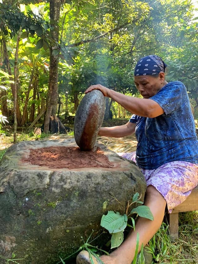 guardiana cacao