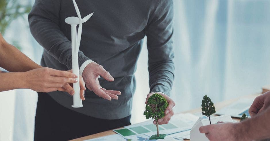 un hombre colocando un árbol pequeño en una maqueta