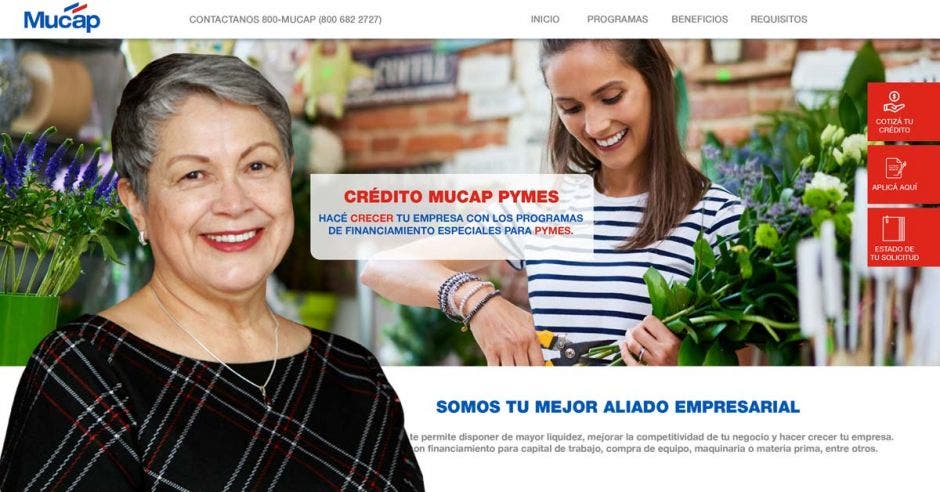 Mujer frente a diseño de sitio web