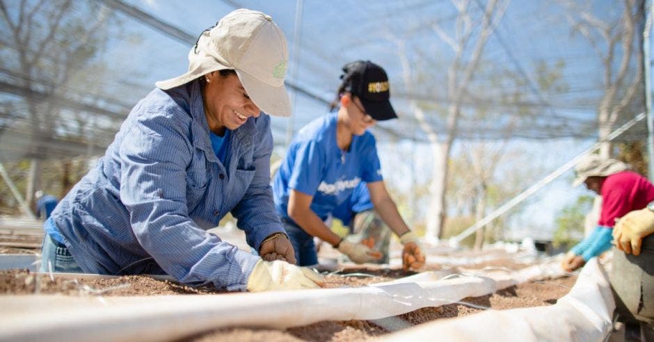 Mujeres trabajando en huerta