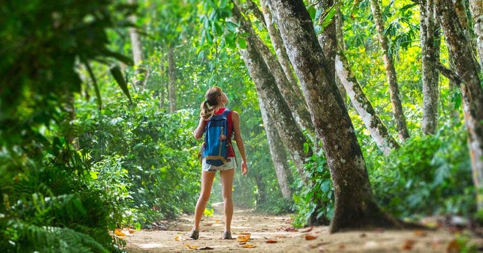 joven turista en la naturaleza