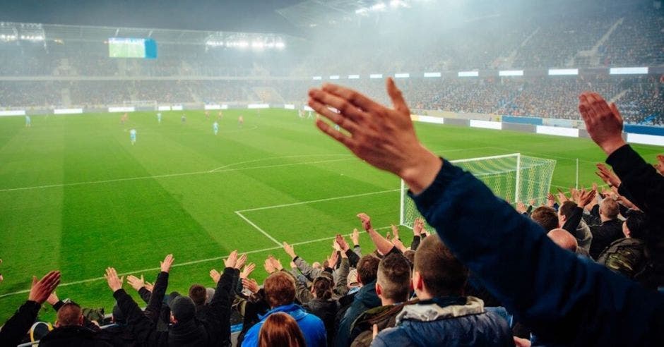 afición estadios