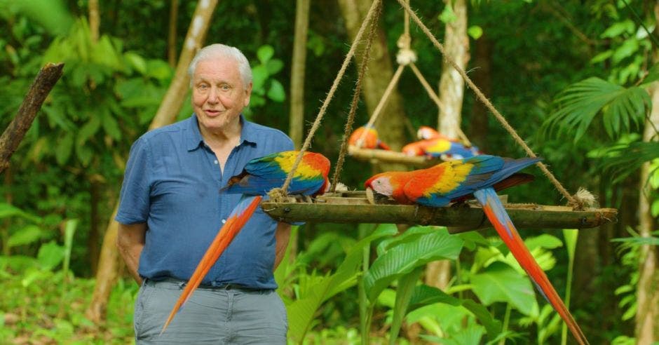 Sir David Attenborough