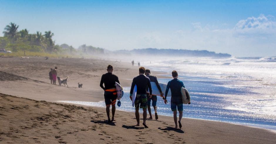 un grupo de hombres con tablas de surf recorre la playa