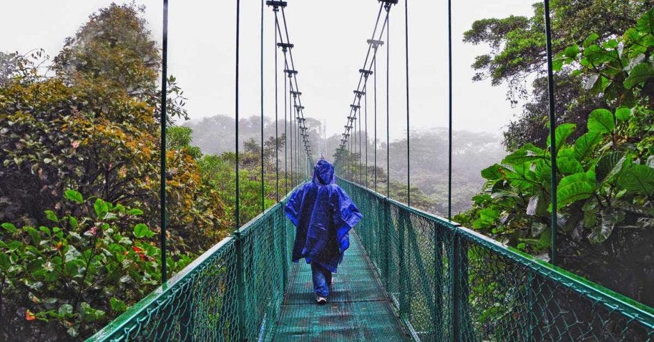 una mujer camina por un puente colgante en medio del bosque nuboso