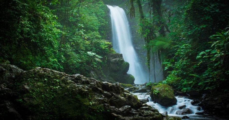 una catarata cae sobre una poza en el bosque lluvioso