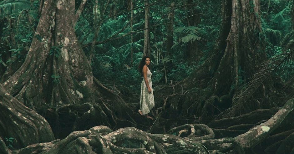 Mujer en el bosque