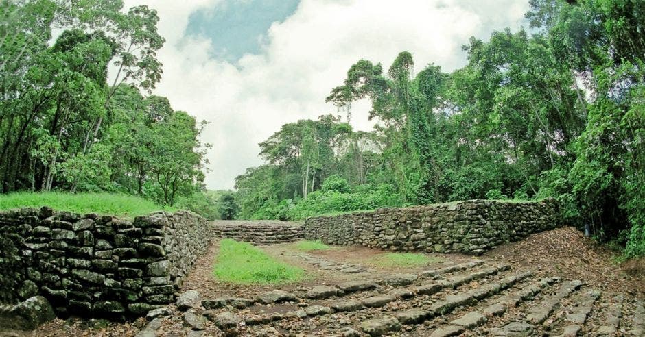 un camino de piedras en medio de un amplio bosque verde