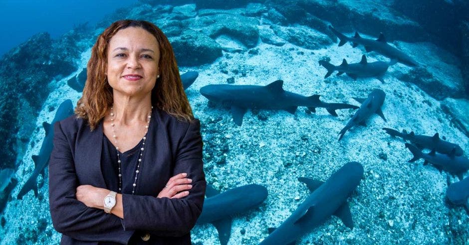 una mujer de pelo castaño sobre un fondo de tiburones nadando en el fondo marino