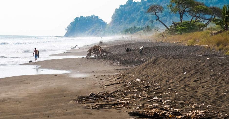 una playa oscura con restos de troncos en la costa