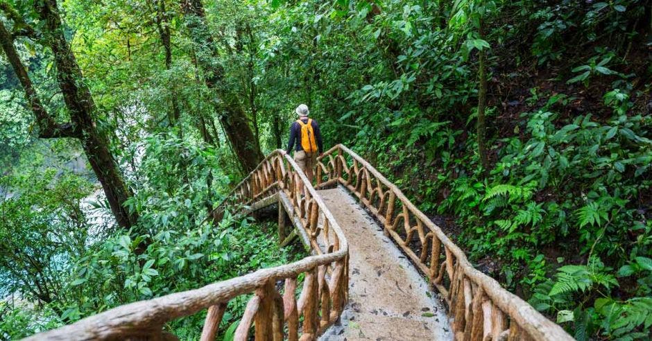 un turista recorre el bosque con una maleta anaranjada