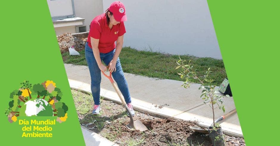 Mujer trabajando en sembrar un árbol