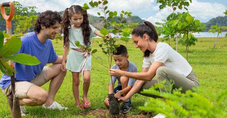 Familia sembrando árboles