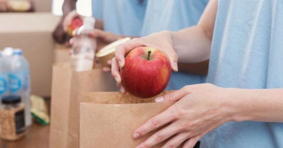 bolsas de papel con alimentos dentro