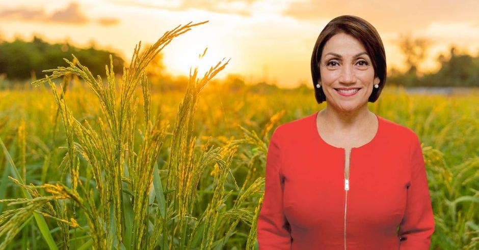 una mujer blanca de traje rojo y pelo corto sobre un fondo de plantaciones de arroz