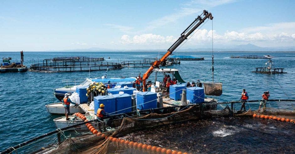 Operación de altamar de Martec en Quepos