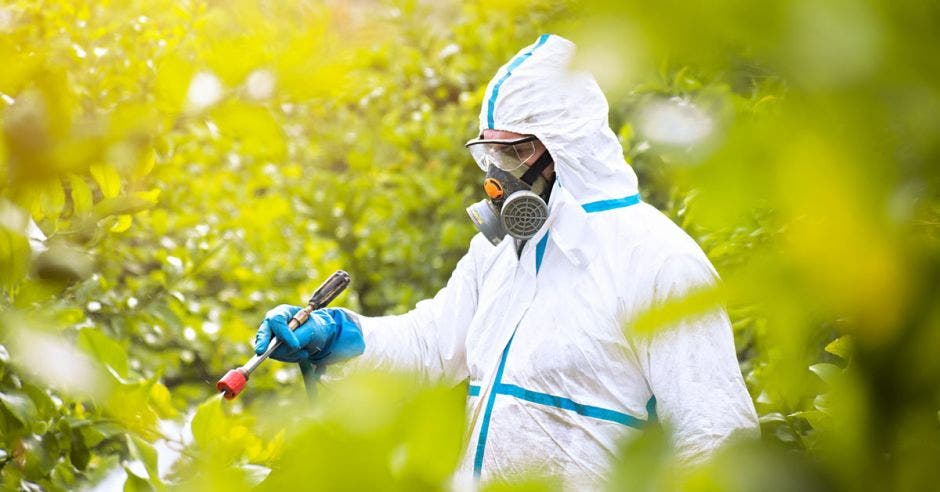 Plaguicida ecológico aplicado en cultivos