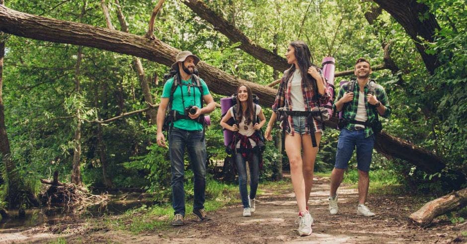 un grupo de jóvenes camina por un bosque. Concepto de ecoturismo.