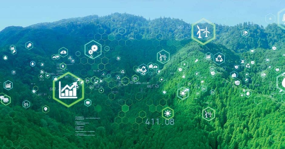 imagen ilustrativa de inversiones en tecnologías verdes. Bosque y concepto de tecnología interconectada.