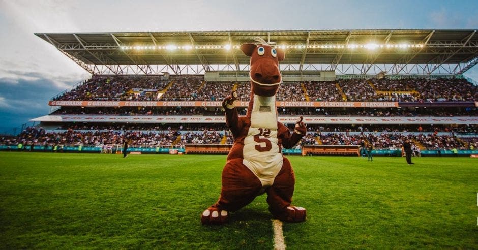 monstruo Saprissa campeón