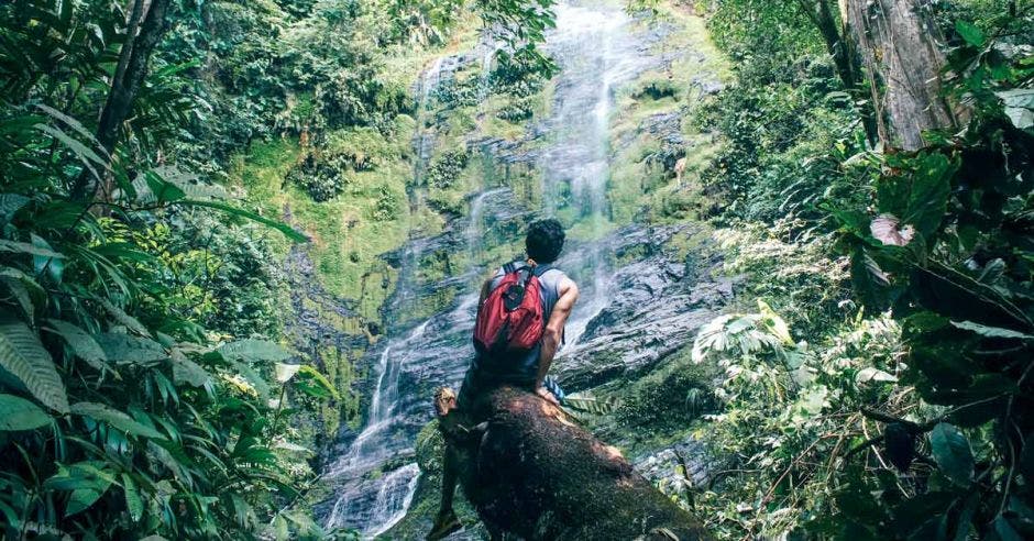 un hombre con una mochila roja en medio de un bosque