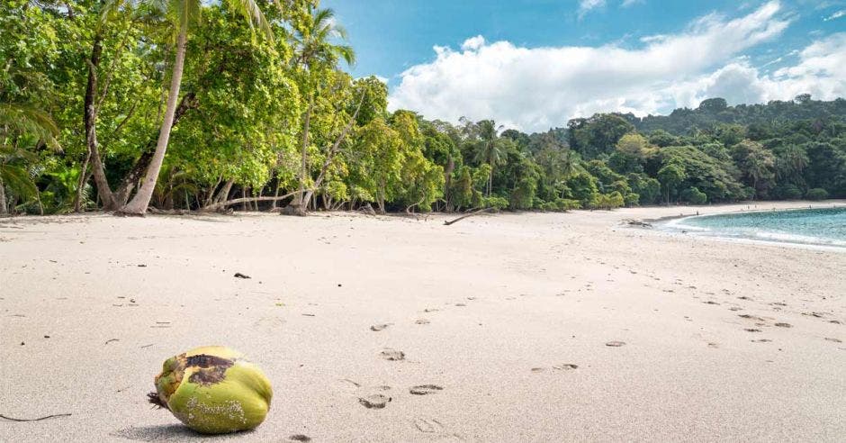 una pipa verde en medio de una playa