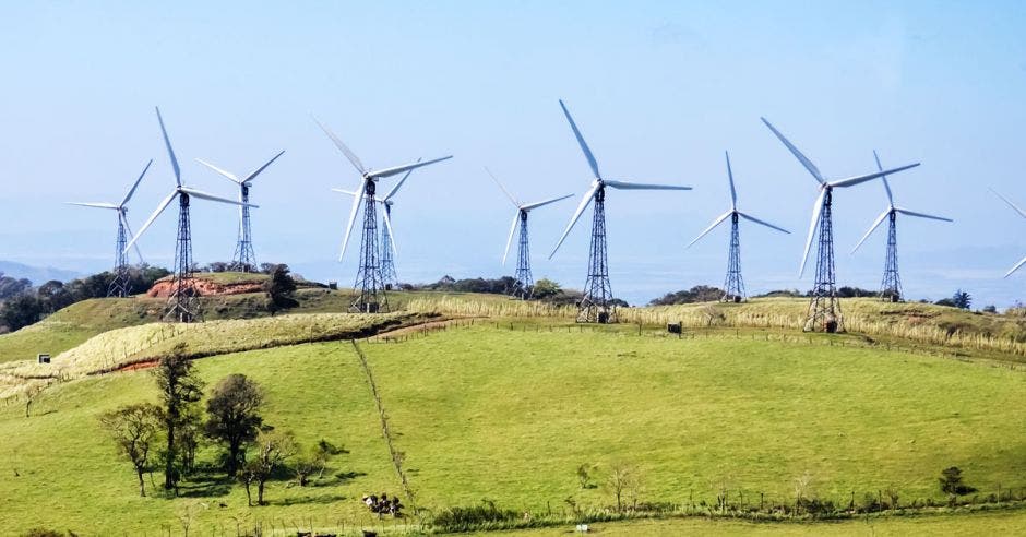 un conjunto de turbinas eólicas en un campo verde