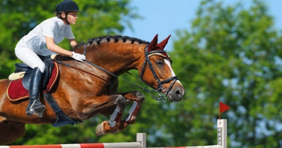 caballo