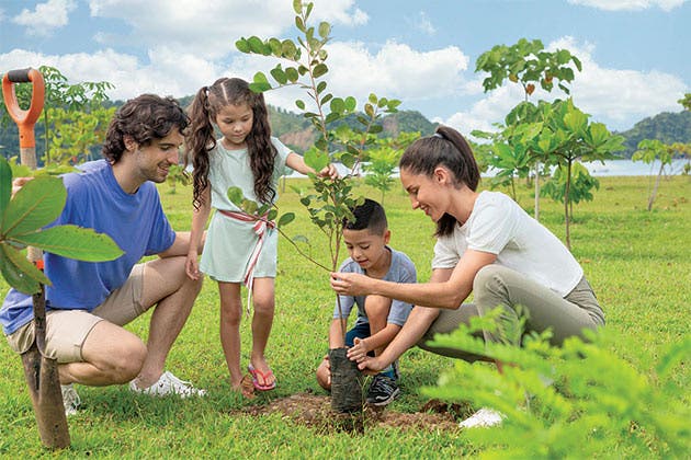 familia sembrando arboles