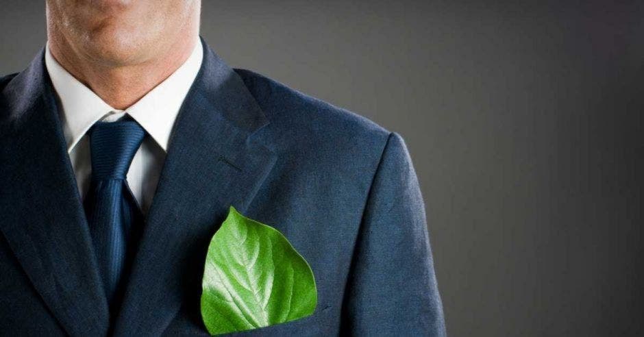 Hombre con hoja verde en un traje de vestir.