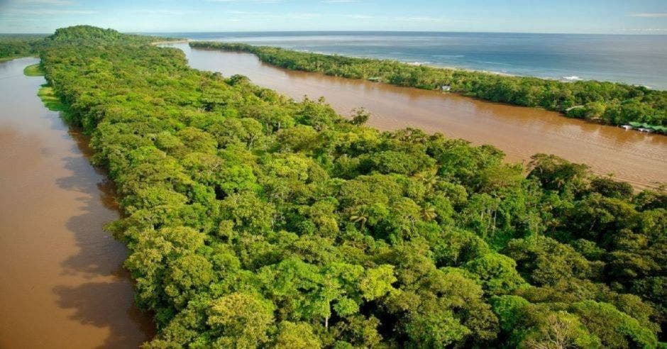 vegetación selvática y canales de río