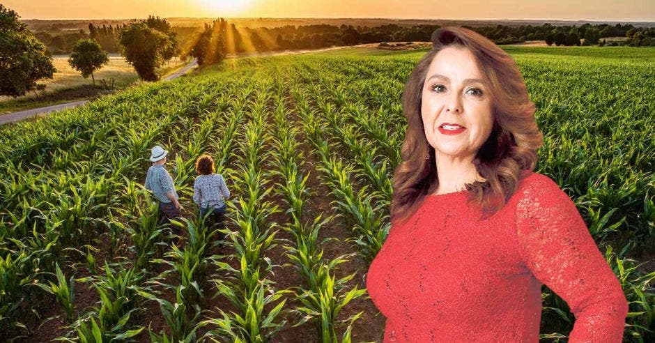 Mujer de rojo frente a campo agrícola