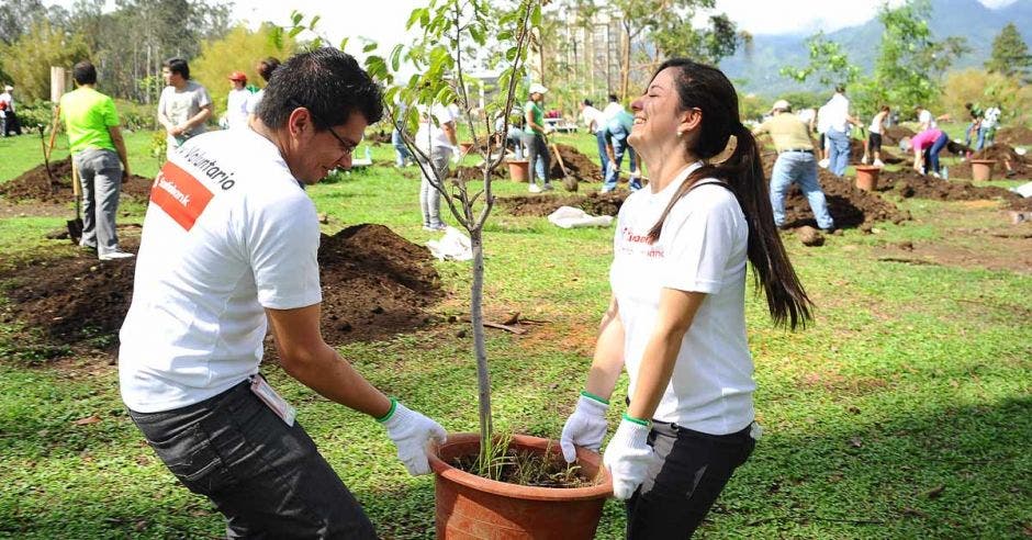 voluntarios de Scotiabank plantando árboles en La Sabana