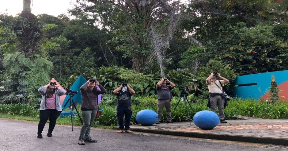 personas viendo aves