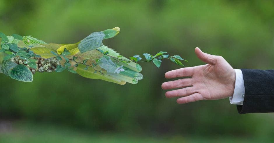Mano humana dando apretón a mano hecha de hojas