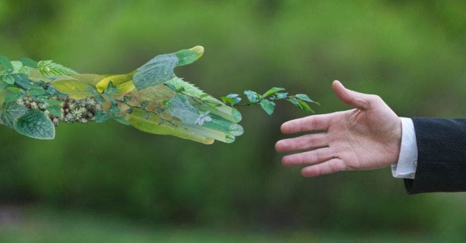 mano de hombre con traje estirada hacia brazo hecho con plantas