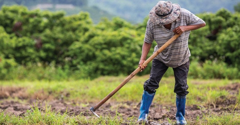 Agricultor