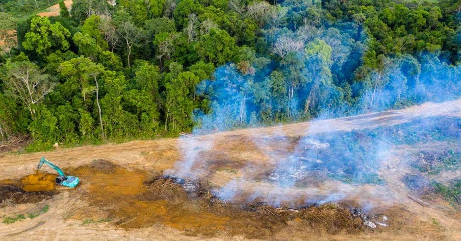 Quemas en un terreno deforestado