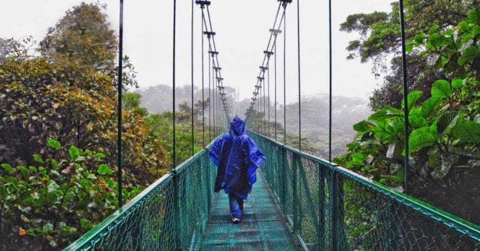 Cruzar el bosque nuboso es uno de los atractivos turísticos de Monteverde.