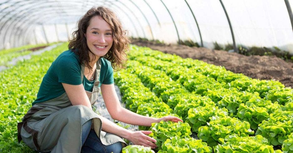 Mujer con su plantación de lechugas