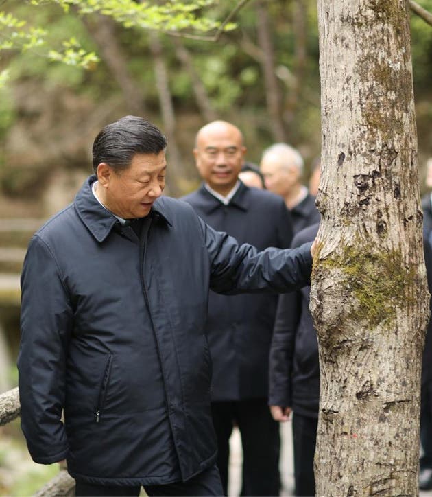 Xi Jinping, Qinling