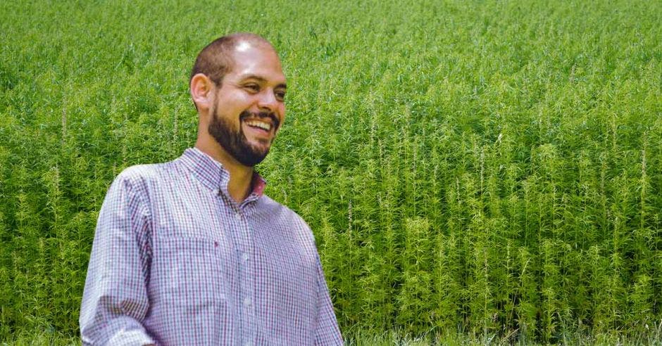 Hombre joven en fondo de campo de plantación de cáñamo