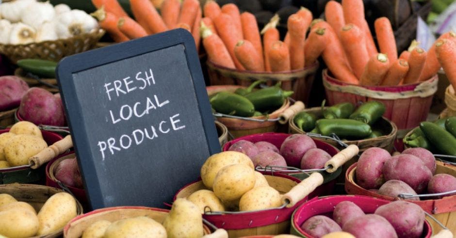 Feria de alimentos