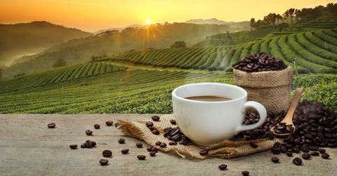 Un saco de café en grano junto a una taza de café con unas plantaciones del gano y un atardecer de fondo