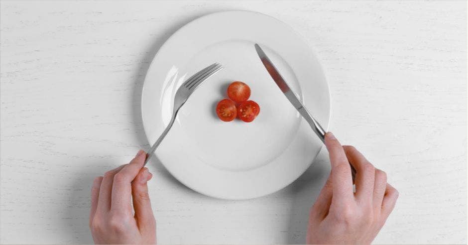 un plato con solo tomate