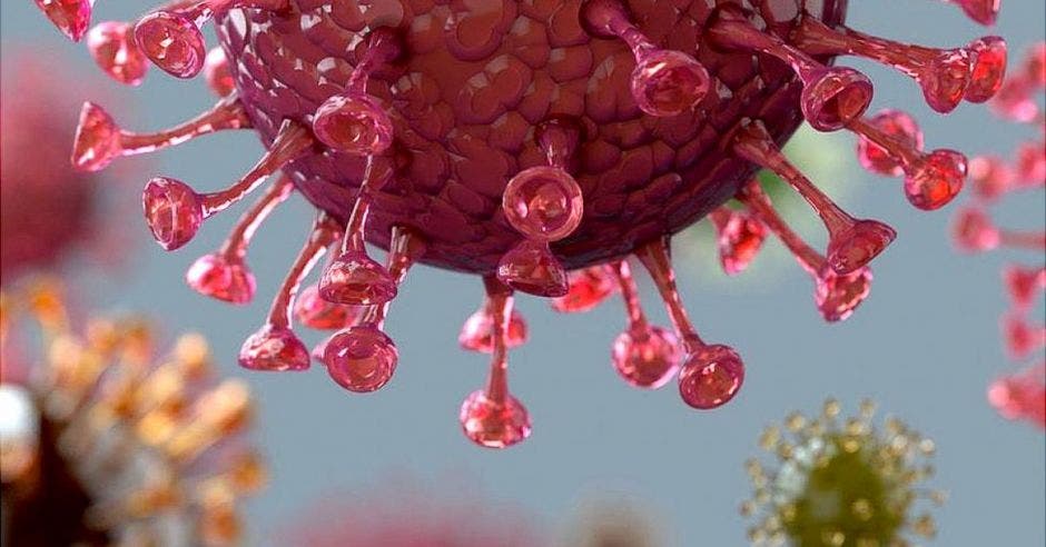 La incertidumbre que vive el mundo en torno a la nueva variante del Coronavirus, conocida como Ómicron, hizo a la OMS hacer la recomendación. Archivo/La República.